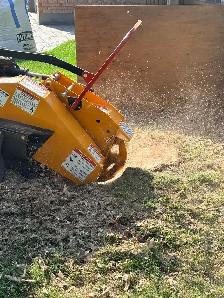 Stump Grinding - Photo 4