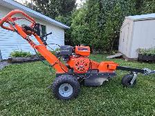 Stump Grinding - Photo 5