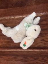 BEAU LAPIN NEUF BEIGE BLANC TRÈS DOUX 12'LONGx8'HAUT: $10.00 - Photo 3