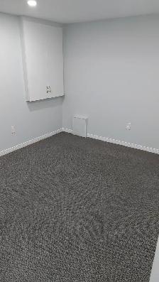One bedroom Room for rent in Two Bedroom Basement - Photo 12