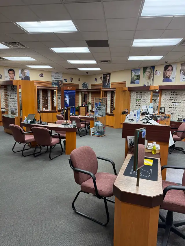 optical sales