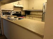 room colation 1-2lits 2 minute Metro Lionel LegroulxDOWNTOWN - Photo 7