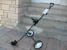 Wilson 2 Wheel Golf Cart
