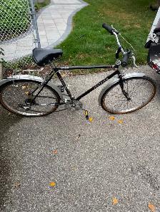 Bicycles for Sale Times Three - Photo 7