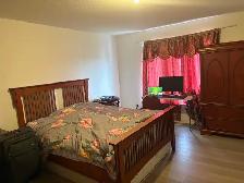 Rooms available for university coop students, Ottawa