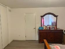 Rooms available for university coop students, Ottawa - Photo 2