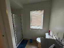 Rooms available for university coop students, Ottawa - Photo 3