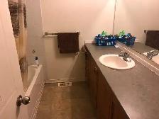 Rooms available for university coop students, Ottawa - Photo 8