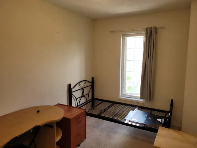 York University Village room for rent