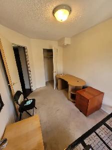 York University Village room for rent - Photo 2