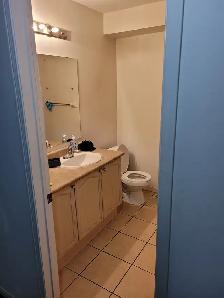 York University Village room for rent - Photo 4