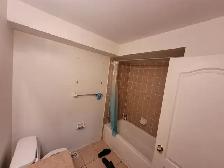 York University Village room for rent - Photo 5