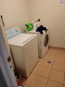 York University Village room for rent - Photo 6