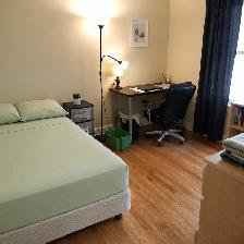 NEW-Immed-Aug 31-Merivale/Baseline-25m/Carleton,10m/Algonq-VIDEO
