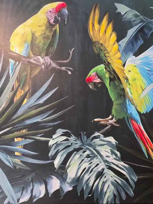 vente samedi et dimanche laval oiseaux et cages