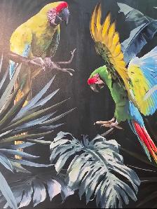 vente samedi et dimanche laval oiseaux et cages