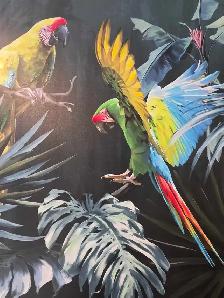 vente samedi et dimanche laval oiseaux et cages - Photo 2