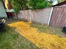 Junk Removal - FRIDGE Removal - Couch Removal - ETC - Photo 2