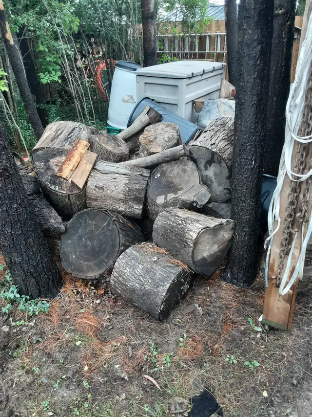 Firewood  Logs