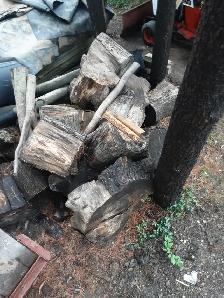 Firewood  Logs - Photo 3