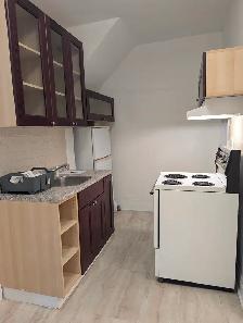 Annex/Mirvish Village 1BDRM Den close to transit, UofT