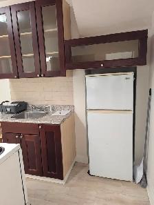 Annex/Mirvish Village 1BDRM Den close to transit, UofT - Photo 2