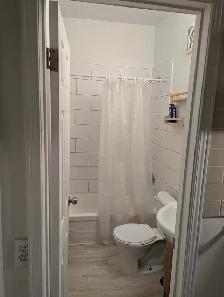 Annex/Mirvish Village 1BDRM Den close to transit, UofT - Photo 5
