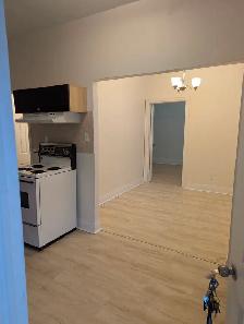 Annex/Mirvish Village 1BDRM Den close to transit, UofT - Photo 6