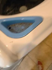 PRO CLEANER - Photo 2