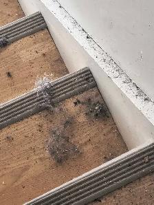 PRO CLEANER - Photo 4