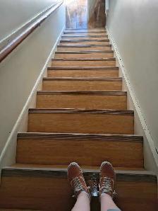 PRO CLEANER - Photo 5