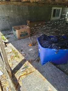 PRO CLEANER - Photo 6
