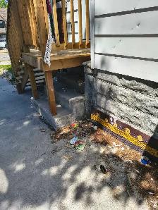 PRO CLEANER - Photo 8