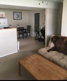 1 Bedroom Basement Unit - Photo 2