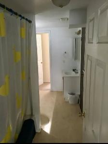 1 Bedroom Basement Unit - Photo 5