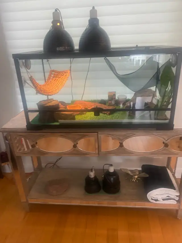 40 GALLON TERRARIUM FOR SALE - LIKE NEW WITH ACCESSORIES