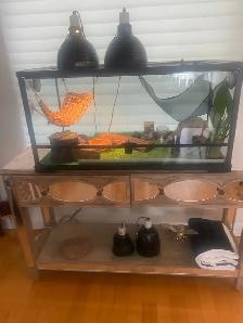 40 GALLON TERRARIUM FOR SALE - LIKE NEW WITH ACCESSORIES