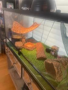 40 GALLON TERRARIUM FOR SALE - LIKE NEW WITH ACCESSORIES - Photo 2