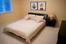 Perfect for Dorm Rooms -  Complete Bedroom Furniture Set