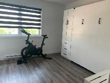 Maison à louer – 3 chambres, 2 salles de bain, cour privée, spa - Photo 12