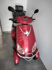 Quadriporteur  EcoloCycle  E4 2019 - Photo 2