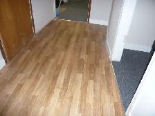 Erinwoods 2 bedroom legal suite sep laundry $1390/m include UT - Photo 5