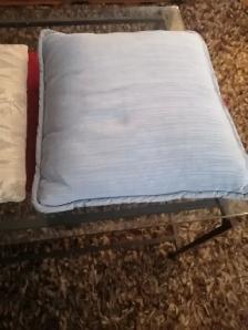 Couch pillows 3 for $5