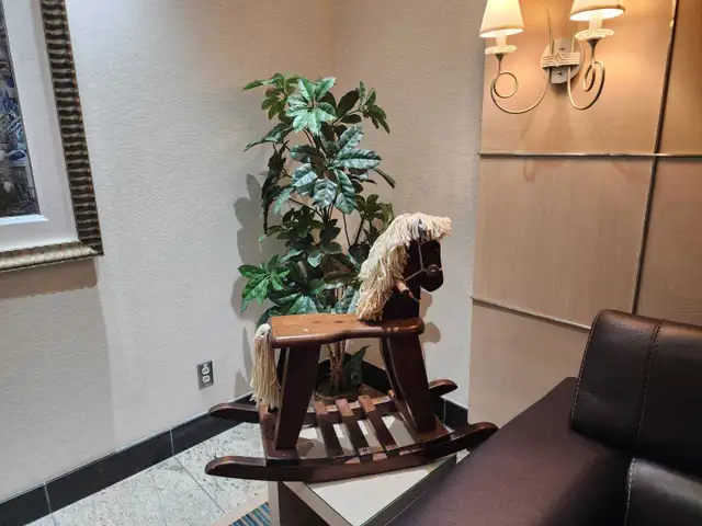 cheval en bois