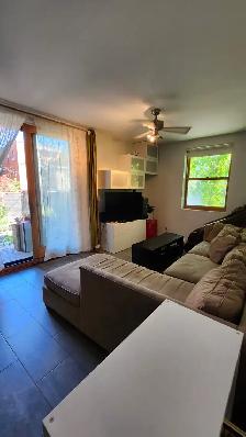 Furnished/meublé 2 bedrooms apt near metro Charlevoix/Lasalle - Photo 8