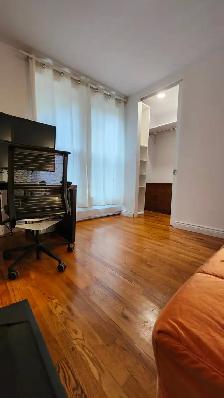 Furnished/meublé 2 bedrooms apt near metro Charlevoix/Lasalle - Photo 14