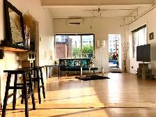 Furnished penthouse loft with private roof top terrace