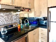 Furnished penthouse loft with private roof top terrace - Photo 4