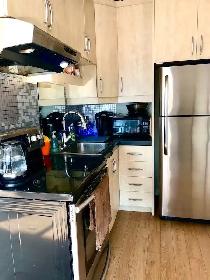 Furnished penthouse loft with private roof top terrace - Photo 6