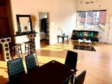 Furnished penthouse loft with private roof top terrace - Photo 7